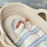 baby in a moses basket