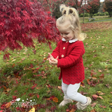 Child in a red sweater standing in an autumn park with red leaves and grass.